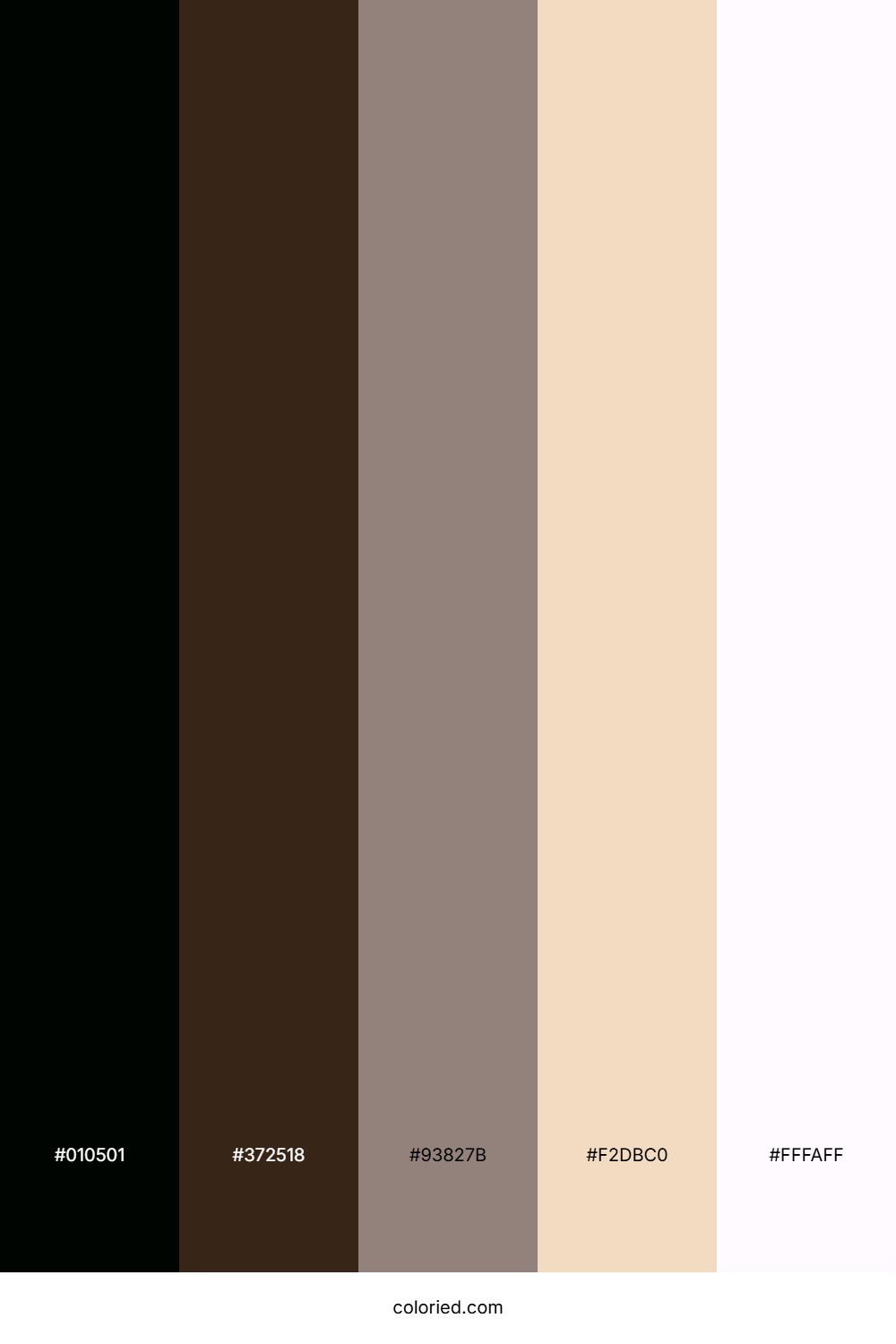 Midnight Sand Dusk Color Palette