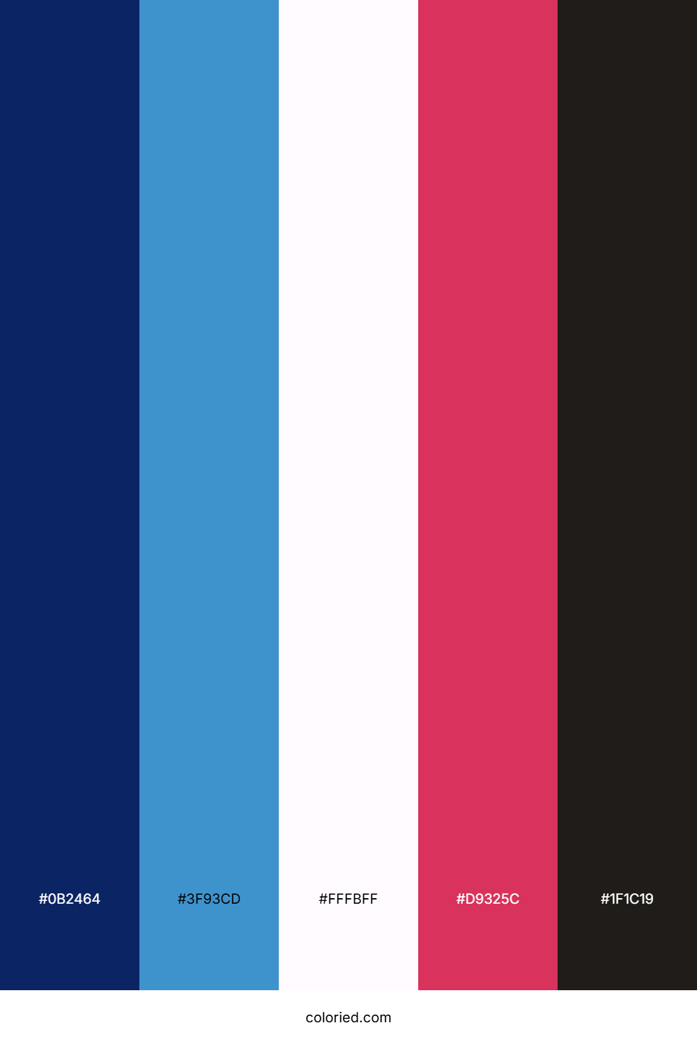 Midnight Sky Rose Color Palette