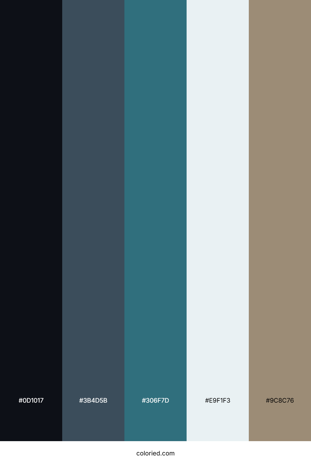 Midnight Slate Haze Palette