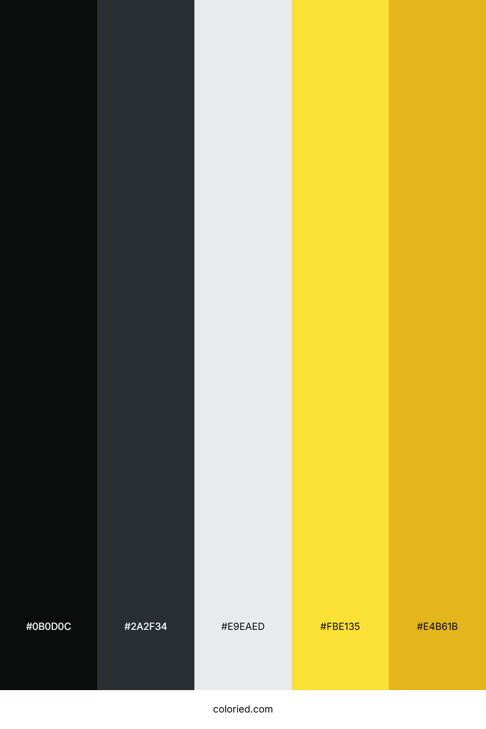 Midnight Spark Gold Color Palette