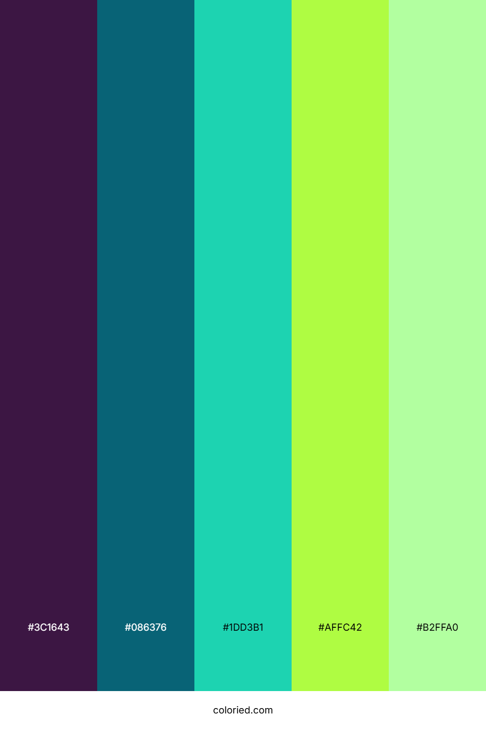Midnight Teal Neon Palette