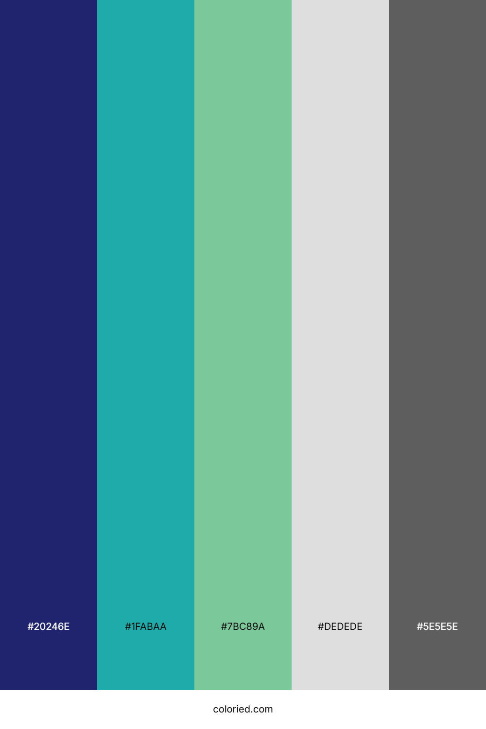 Midnight Tide Calm Palette