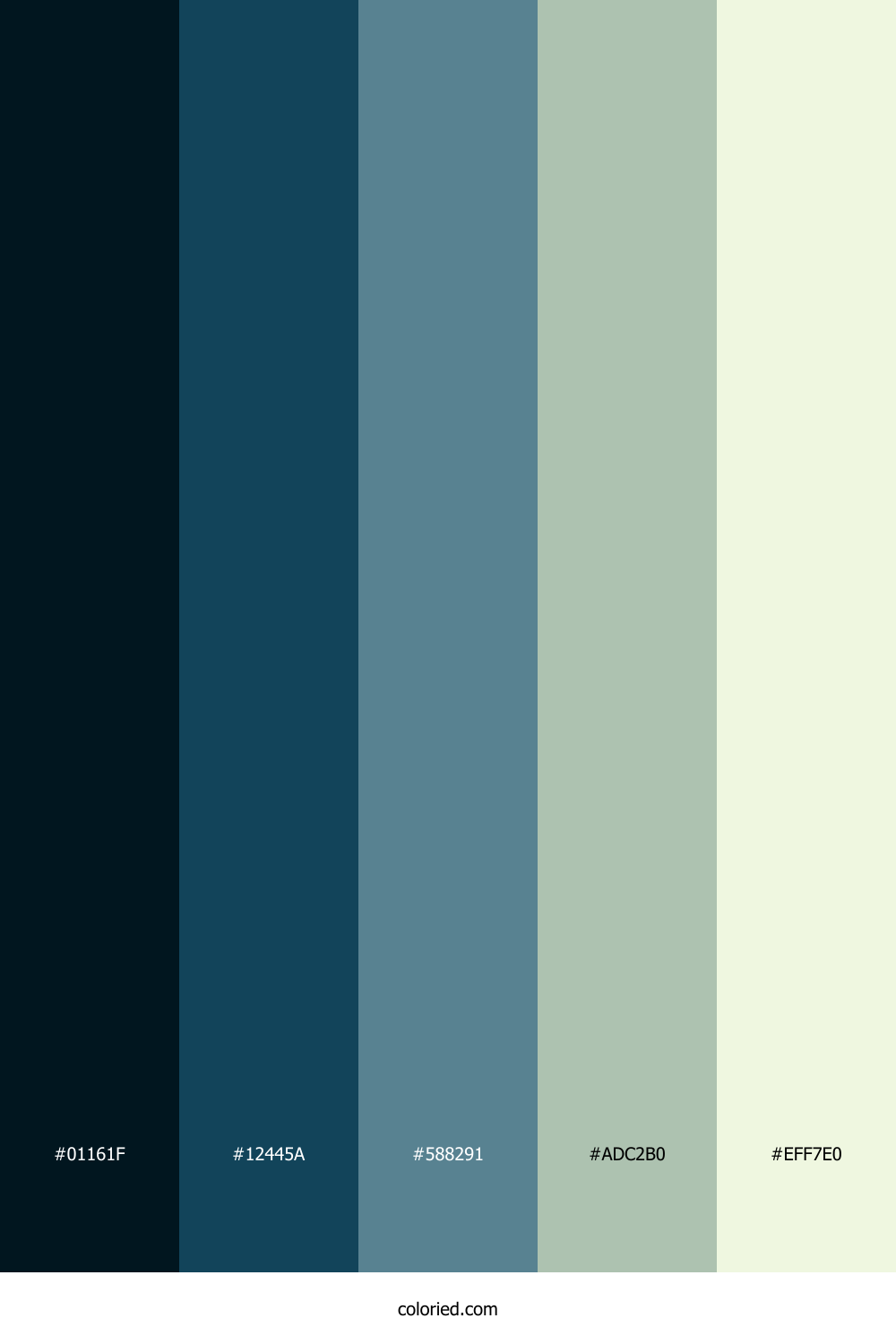 Midnight Tide Fern Palette
