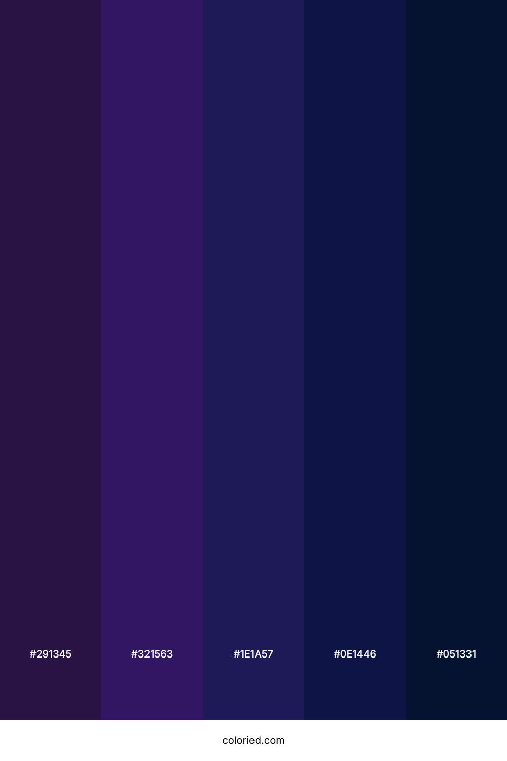 Midnight Violet Shadow Color Palette