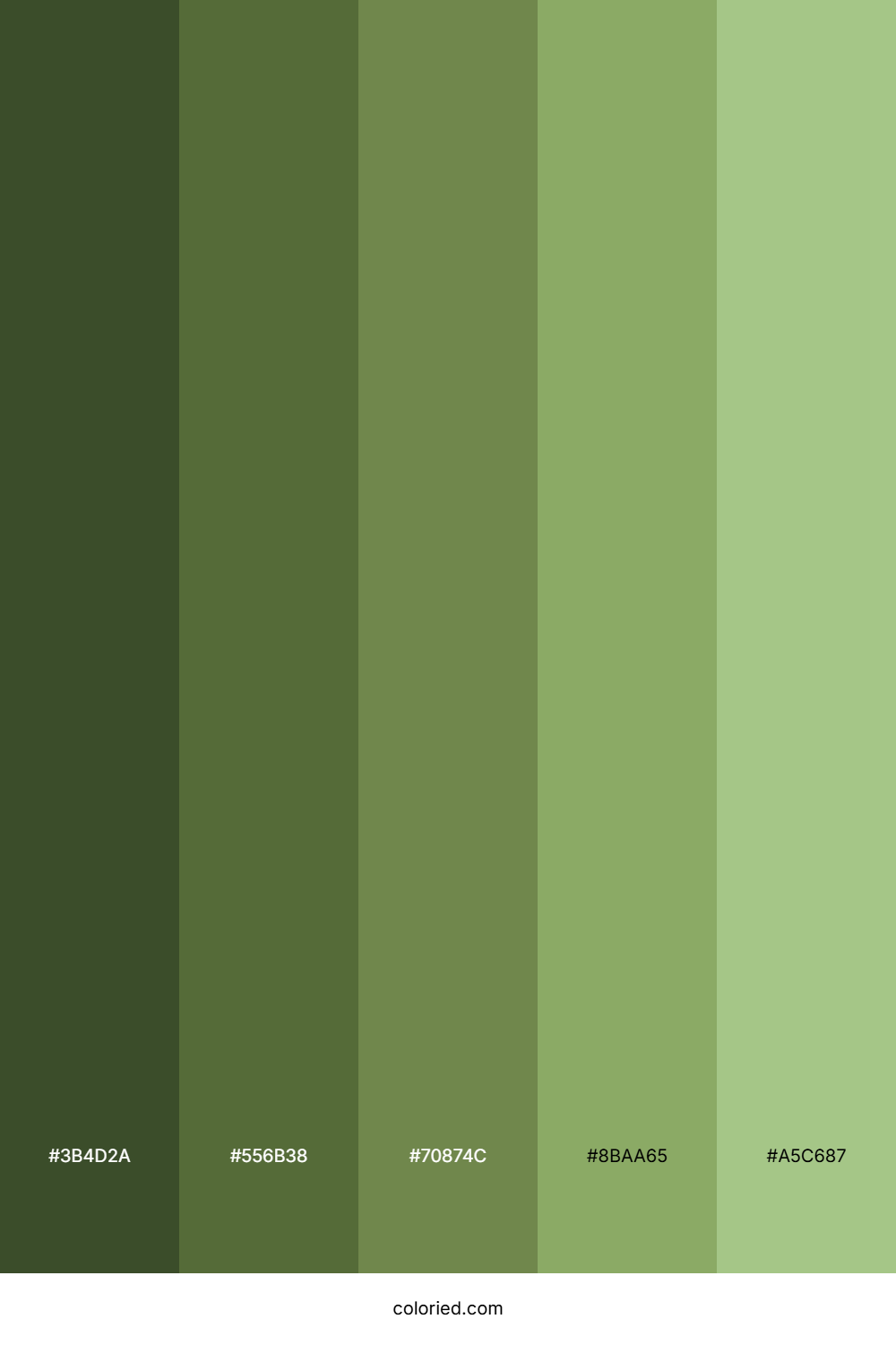Military Olive Color Palette
