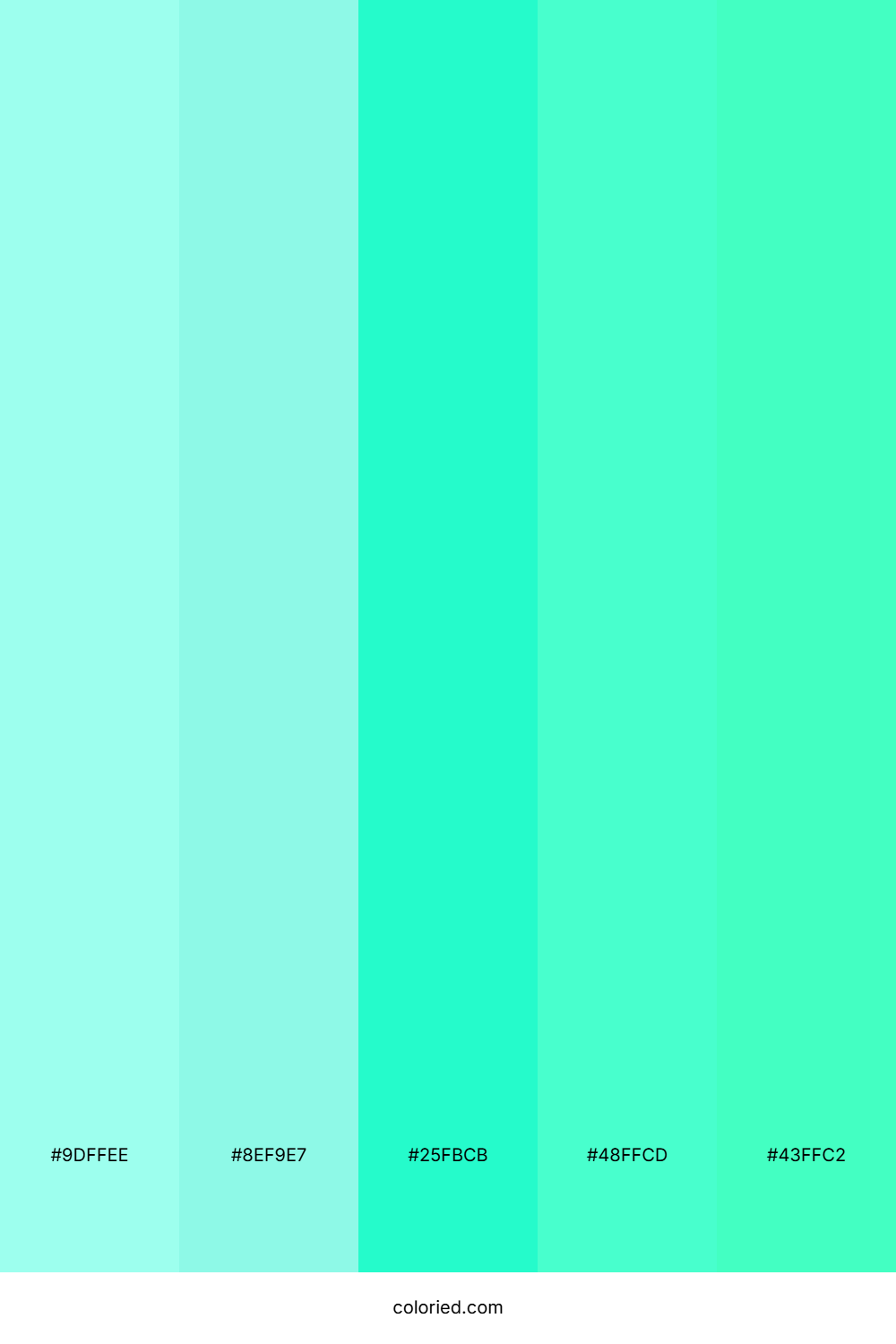 Mint and Aqua Color Palette