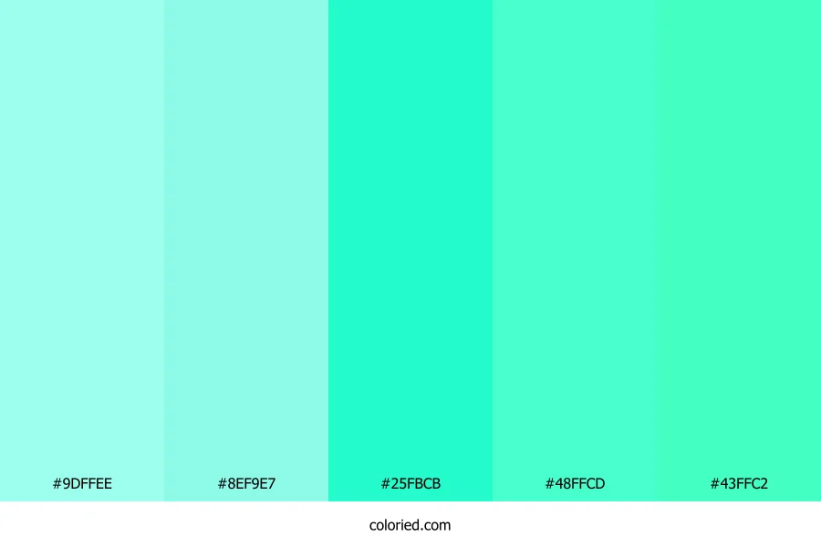 Mint and Aqua Color Palette