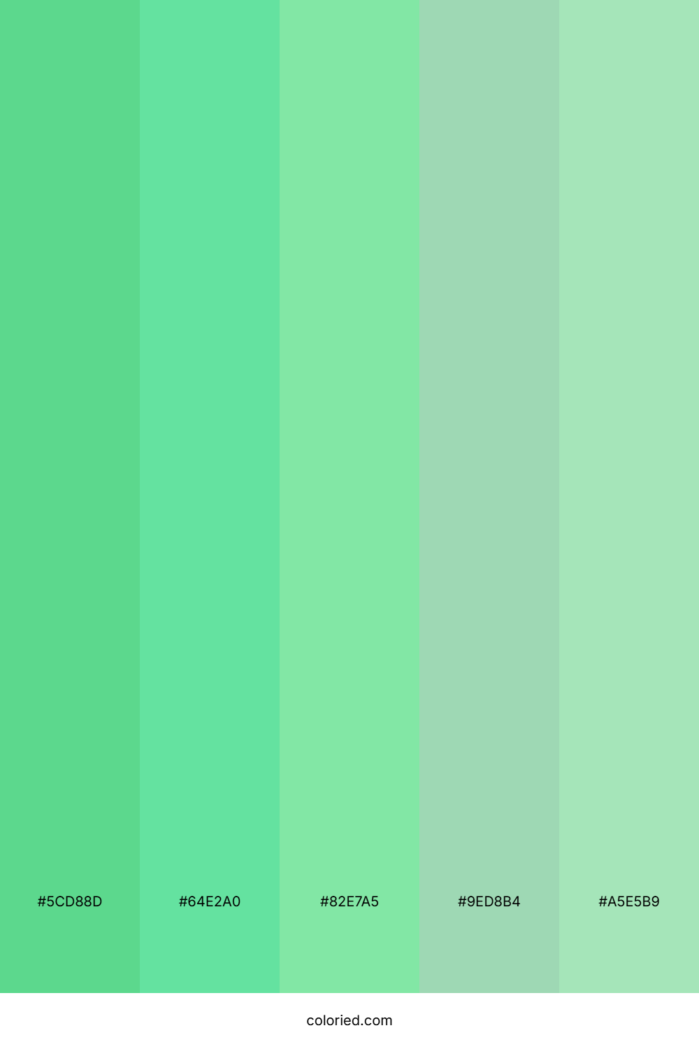Mint And Jade Color Palette