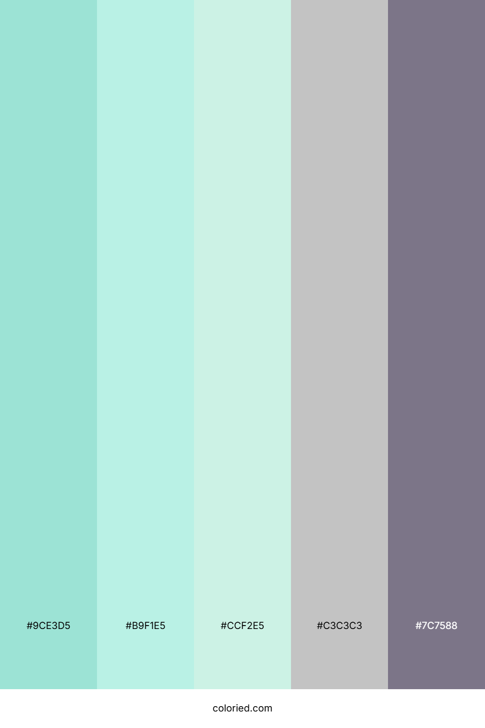 Mint and Pale Gray Color Palette