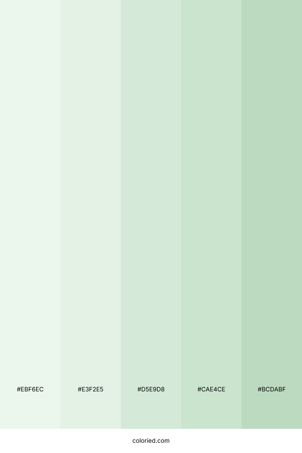 Mint and Sage Color Palette