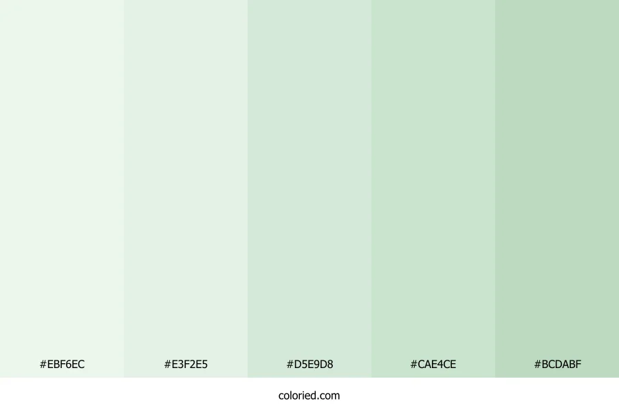Mint and Sage Color Palette