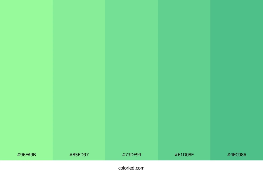 Mint and Seafoam Color Palette