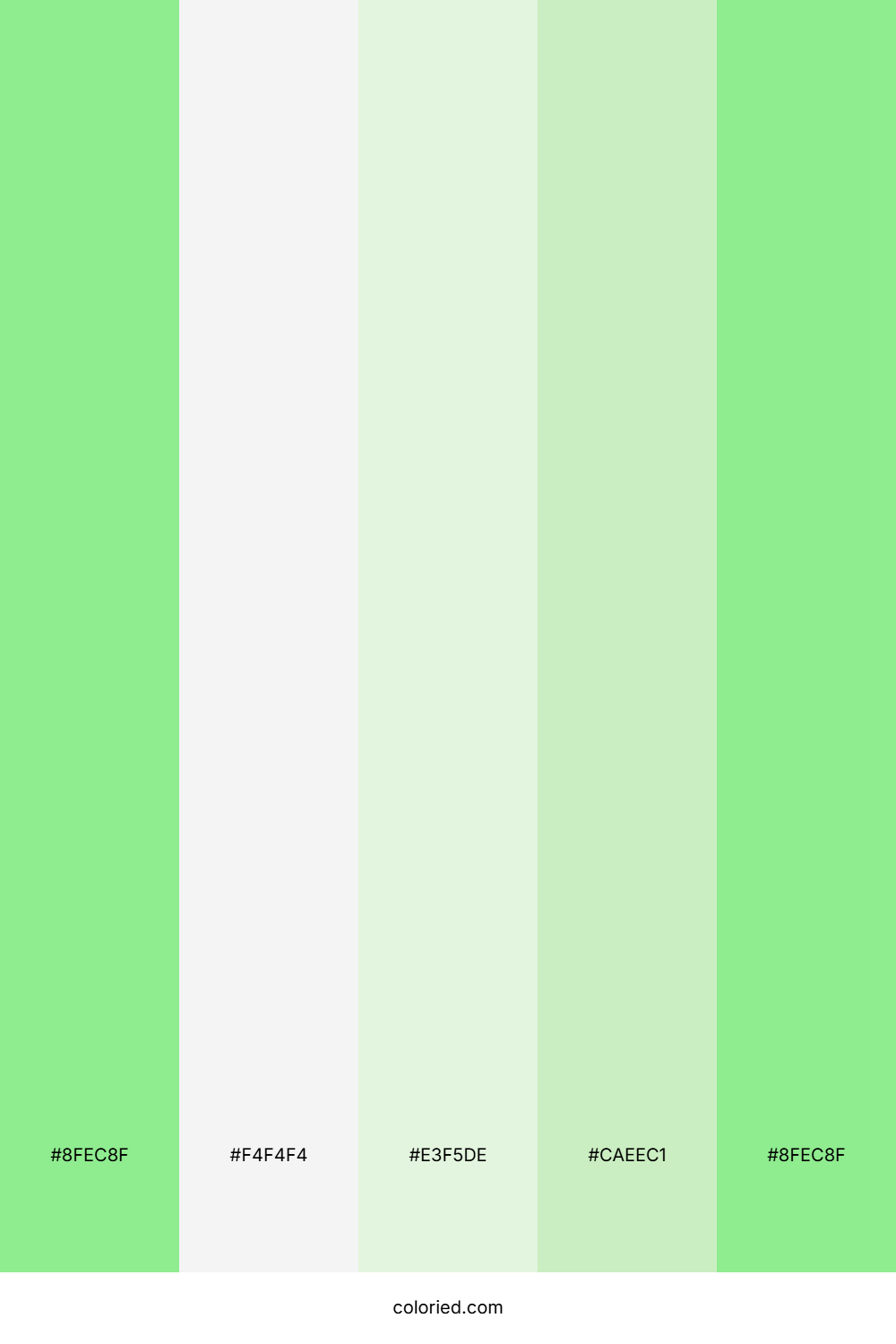 Mint And Snow Color Palette