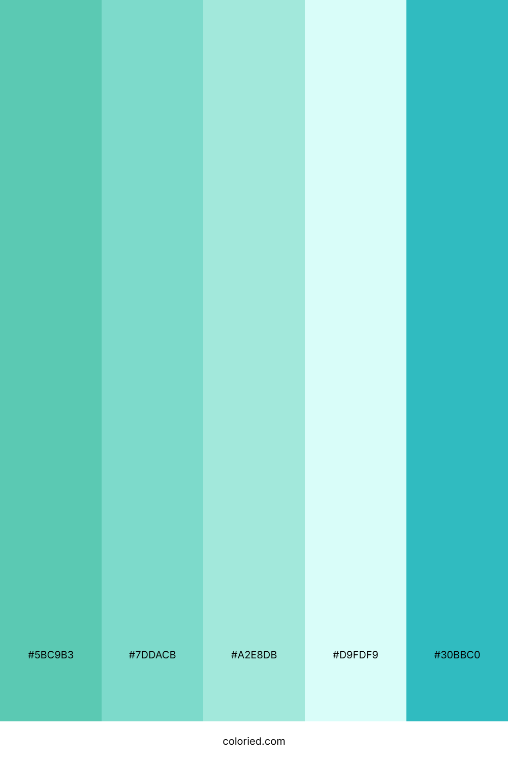 Mint Blue and Aqua Color Palette