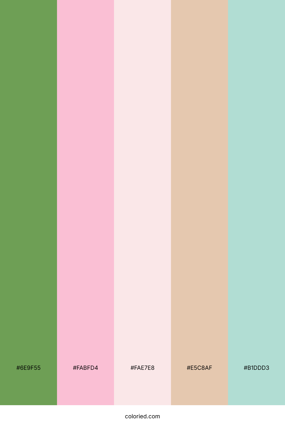 Mint Blush Cream Color Palette