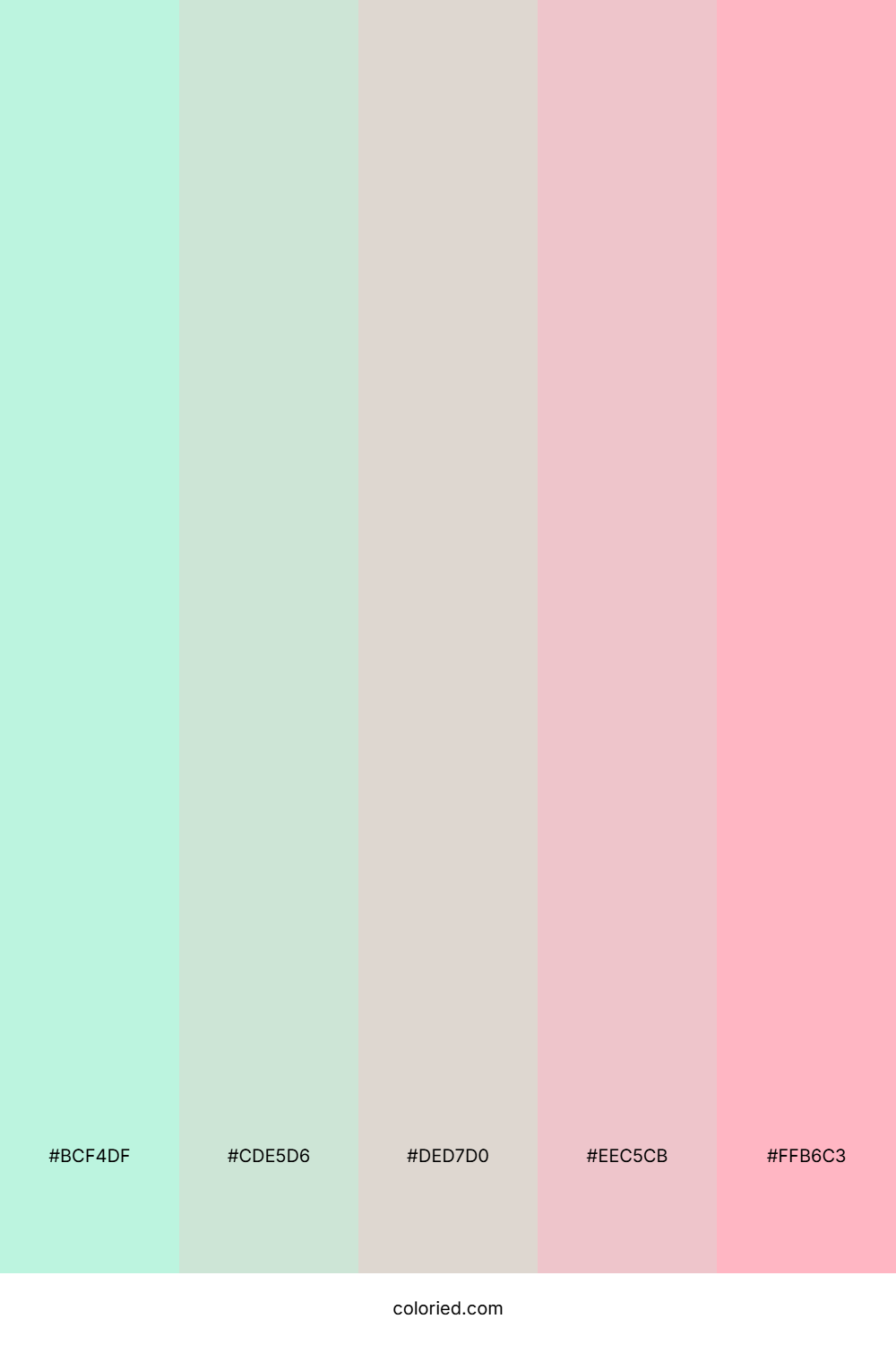 Mint Blush Delight Palette
