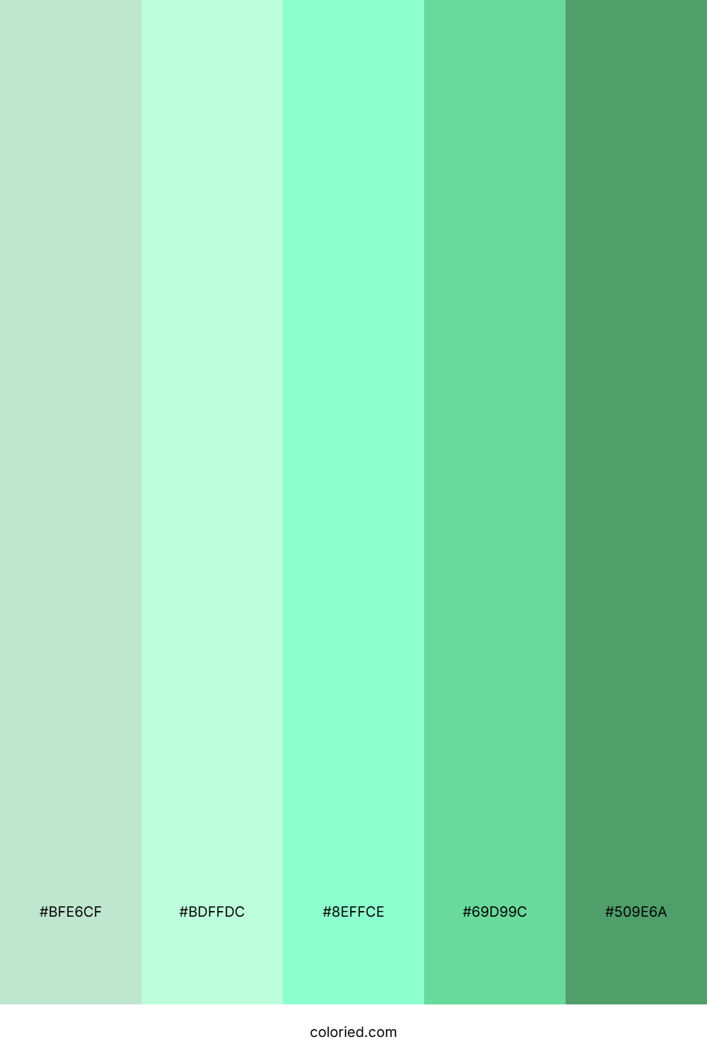 Mint Breeze Canopy Color Palette