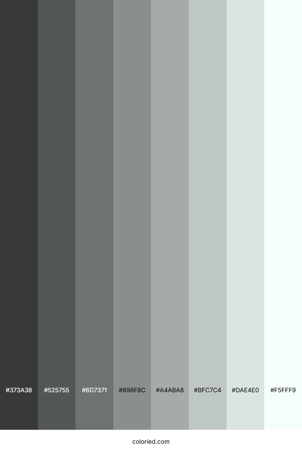 Mint Cream Color Shades