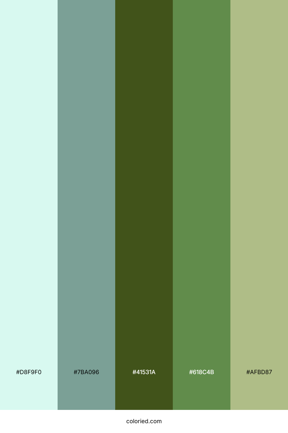 Mint Forest Canopy Color Palette