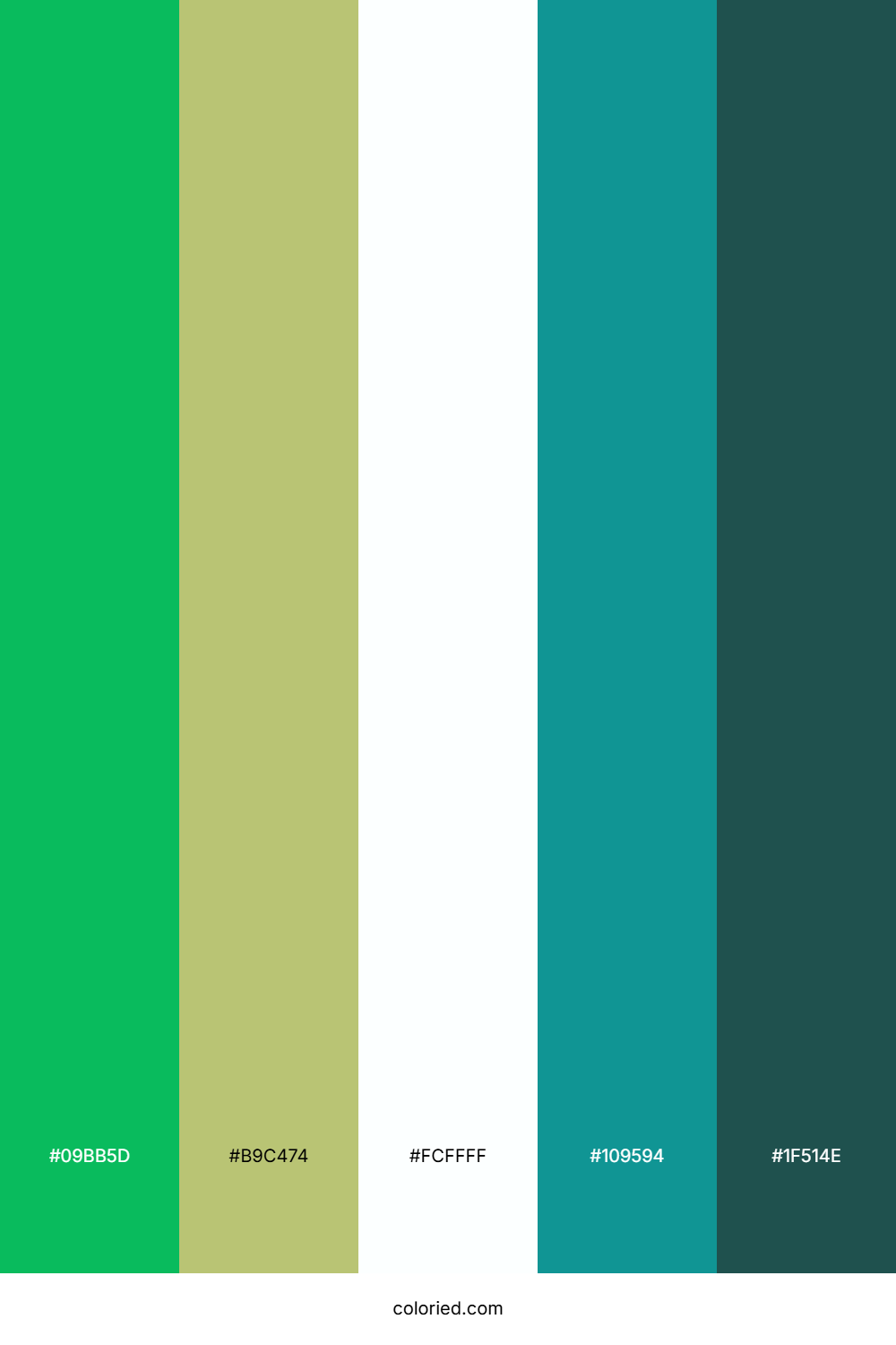 Mint Forest Sky Color Palette