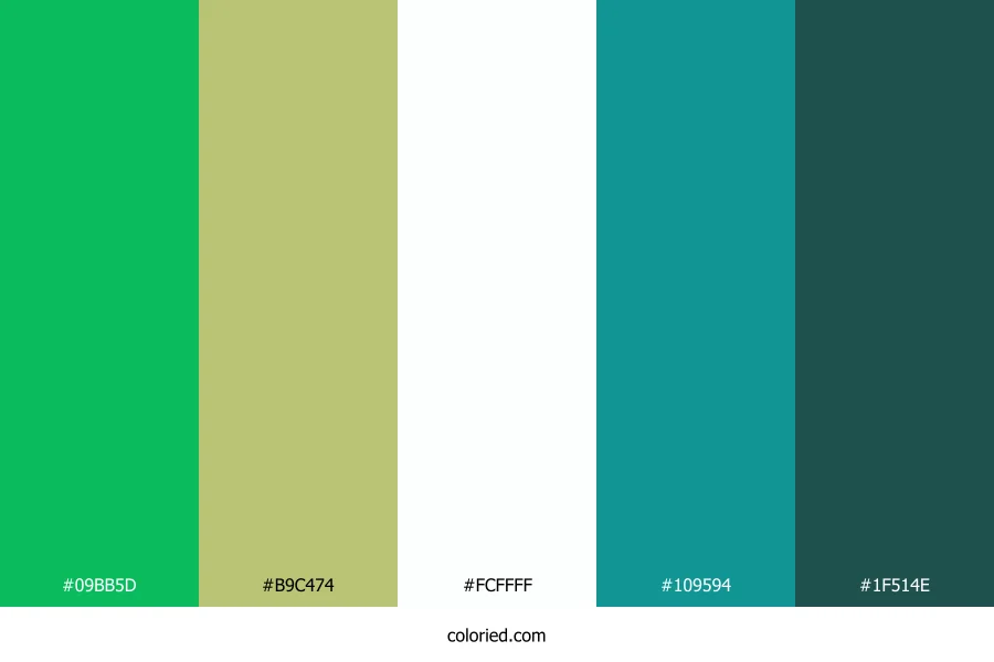 Mint Forest Sky Color Palette