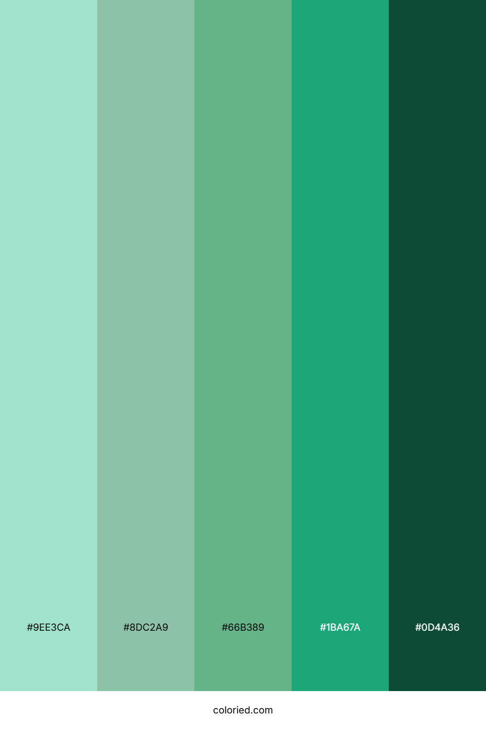 Mint Green and Deep Teal Color Palette
