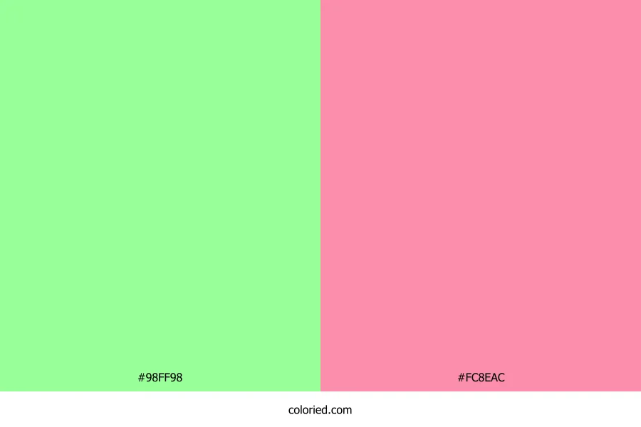 Mint Green and Flamingo Pink Dress Combination