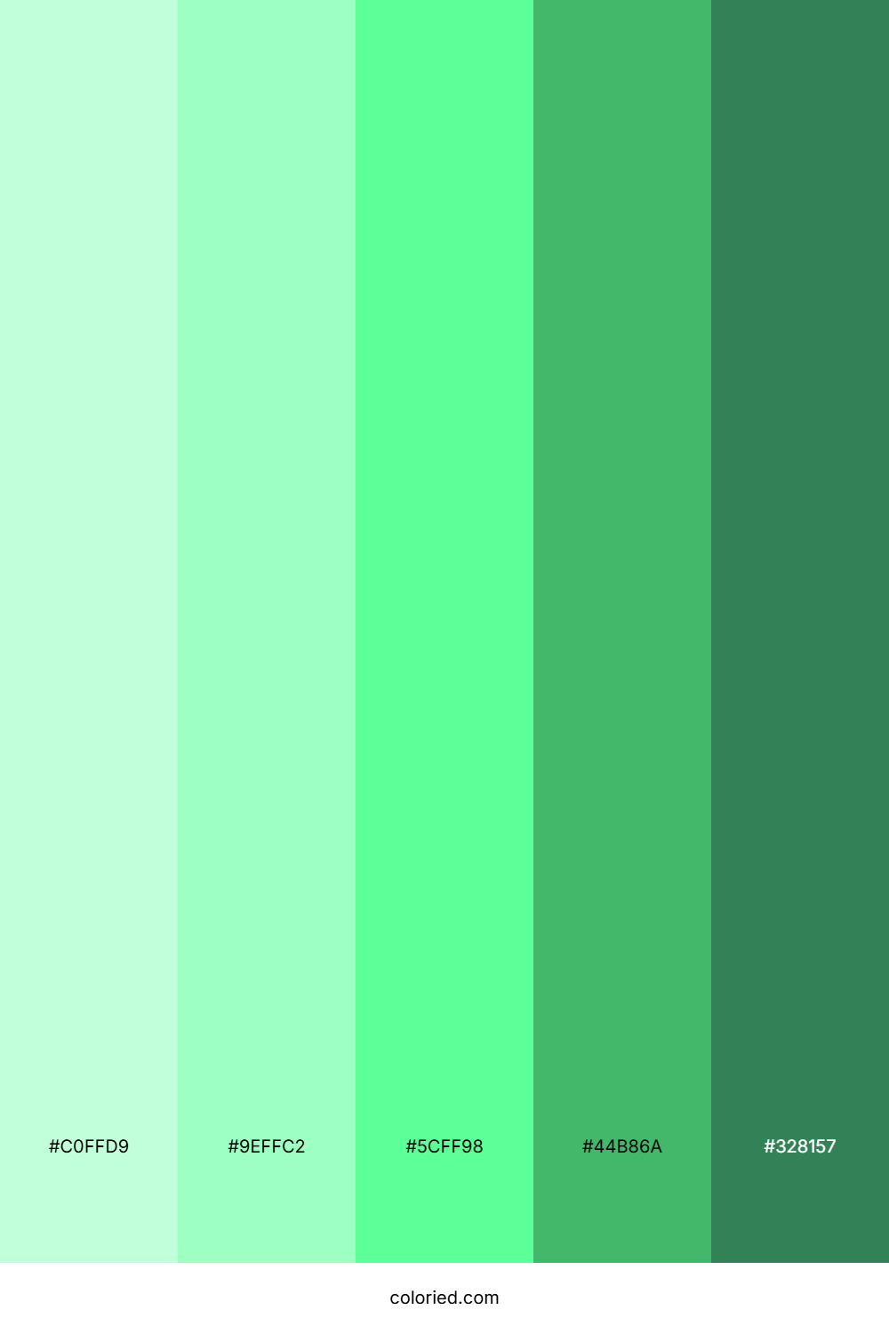 Mint Green and Forest Green Color Palette