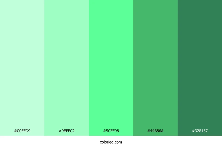 Mint Green and Forest Green Color Palette