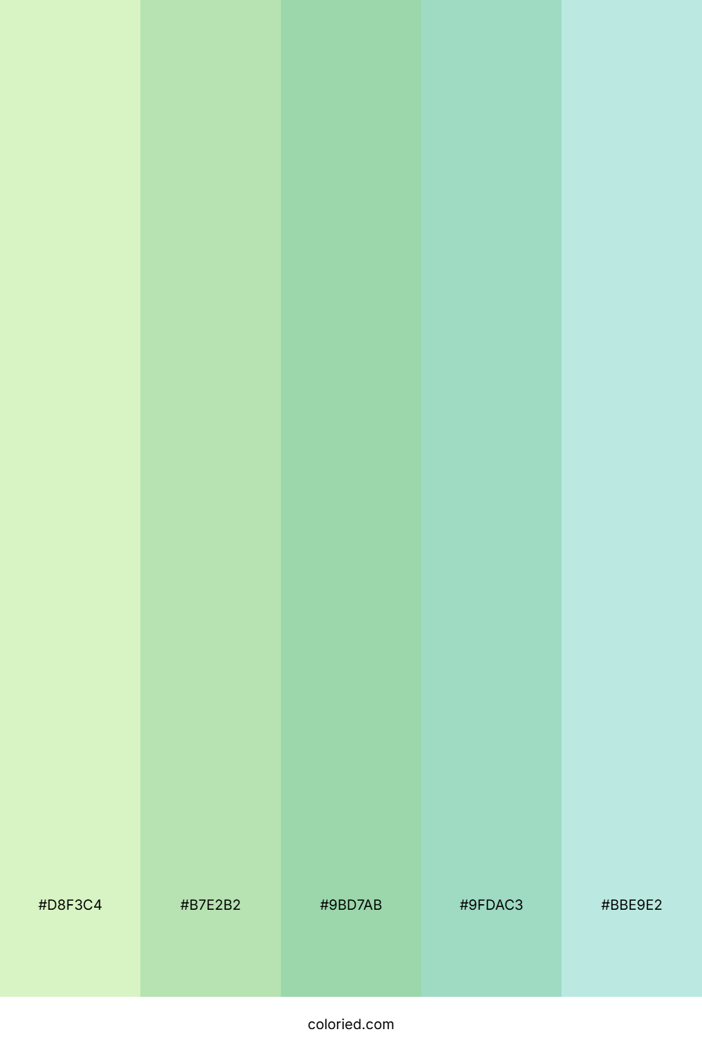 Mint Green and Seafoam Color Palette