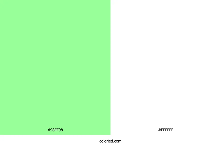 Mint Green and White Dress Combination