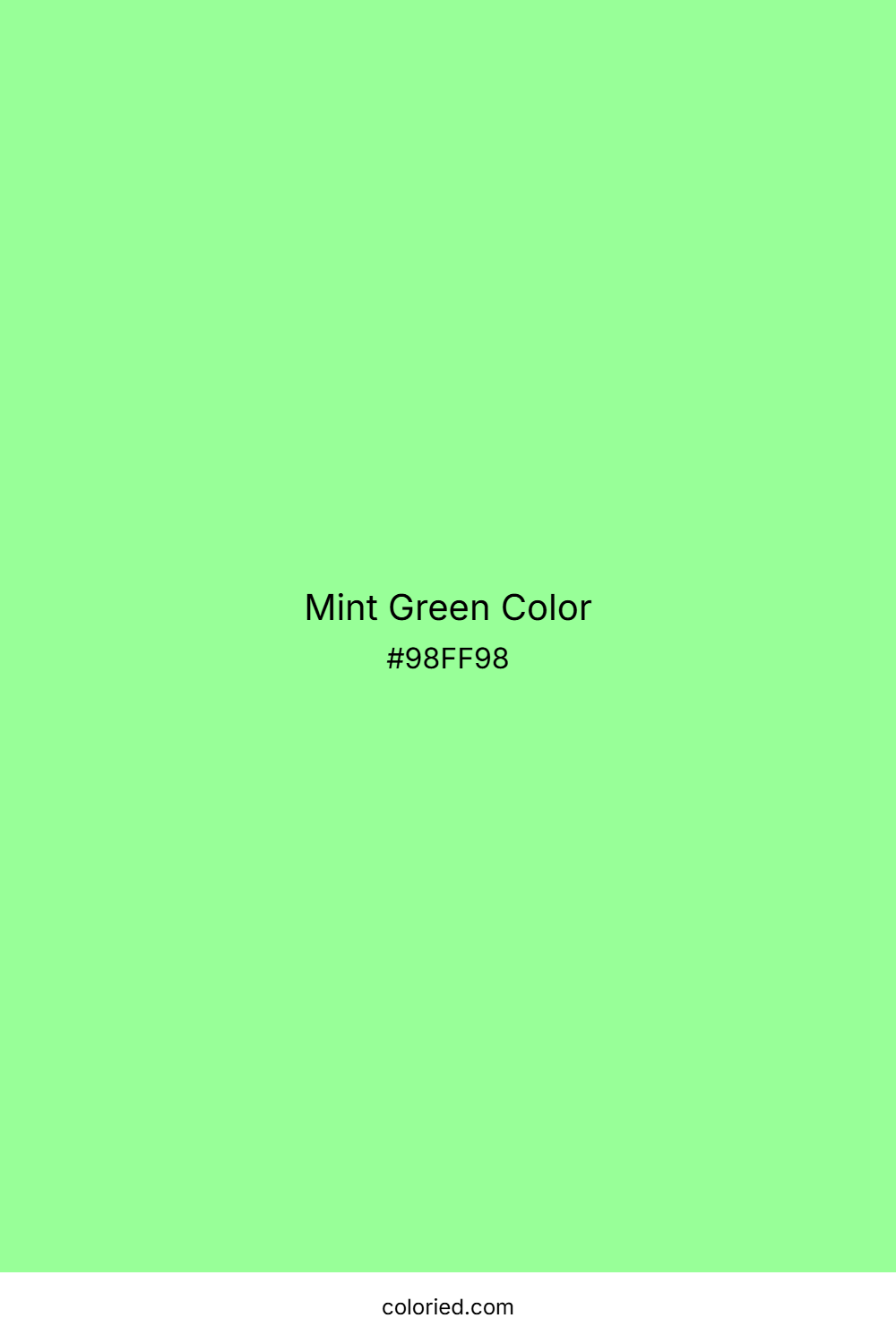 Mint Green Color