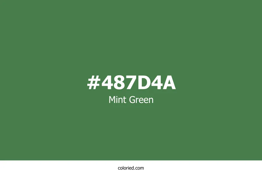 Mint Green Color Hex Code
