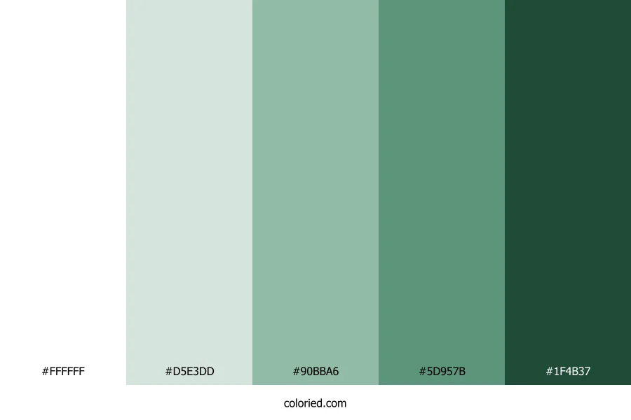 Mint Leaf and Forest Green Color Palette