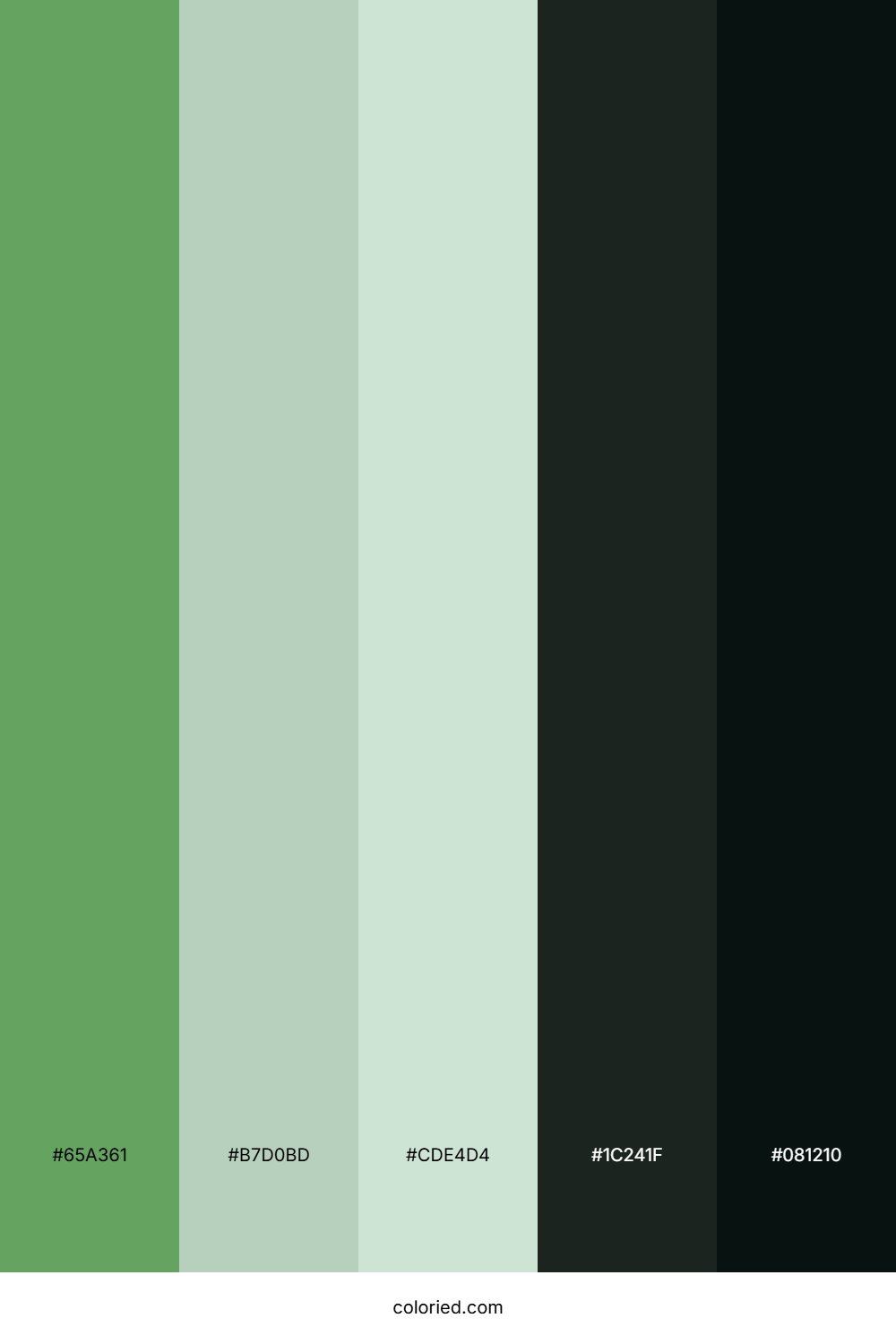 Mint Meadow Glow Color Palette