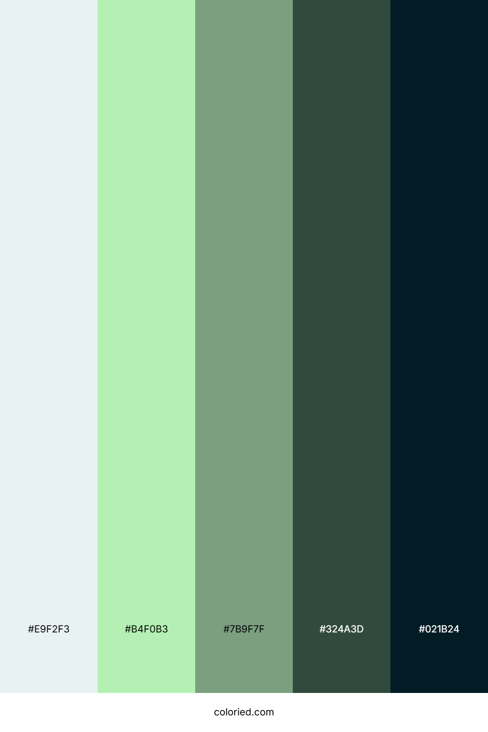 Mint Moss Dusk Palette