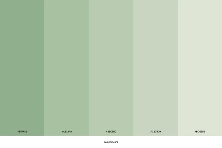 Mint Sage Green Color Palette