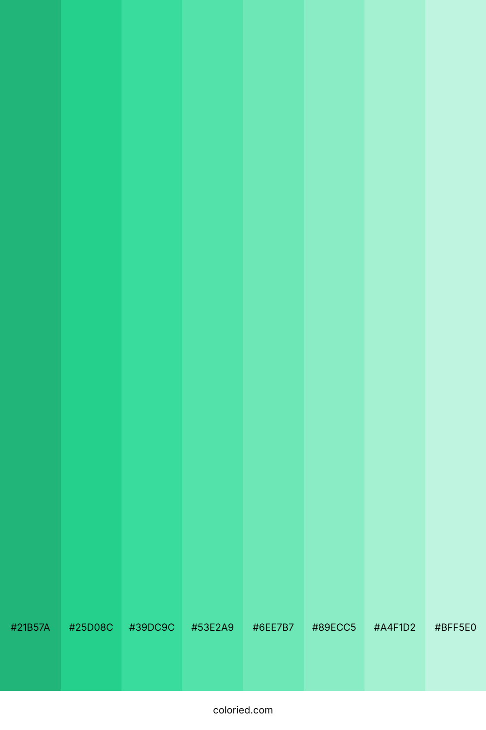 Mint Shades