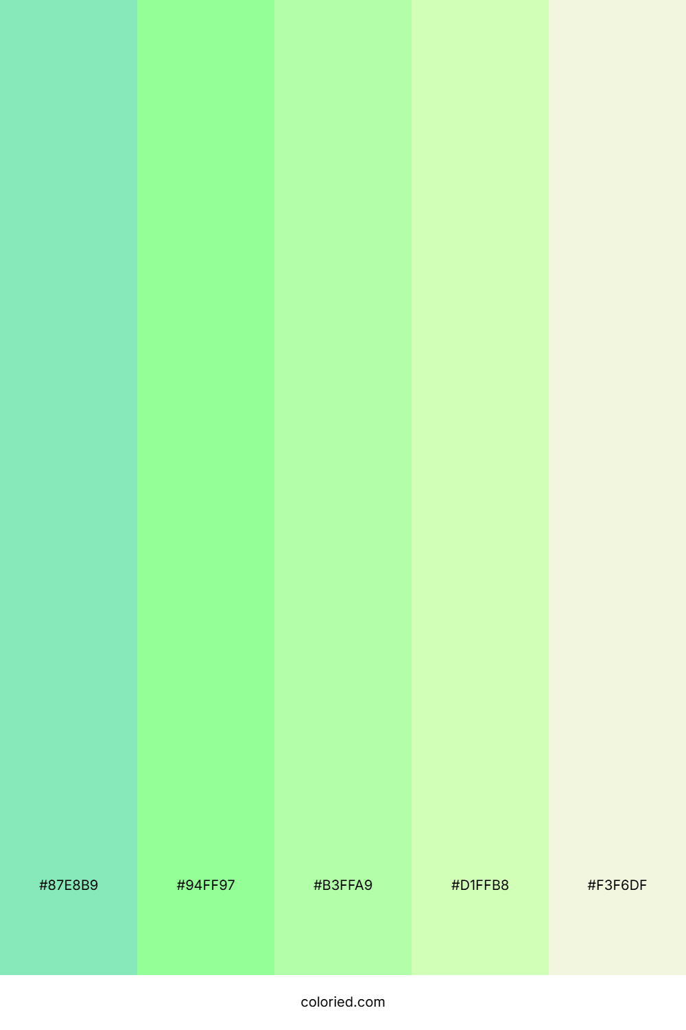 Mint Spring Dew Palette