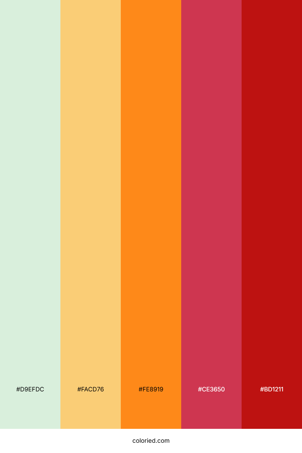 Mint Tangerine Berry Palette