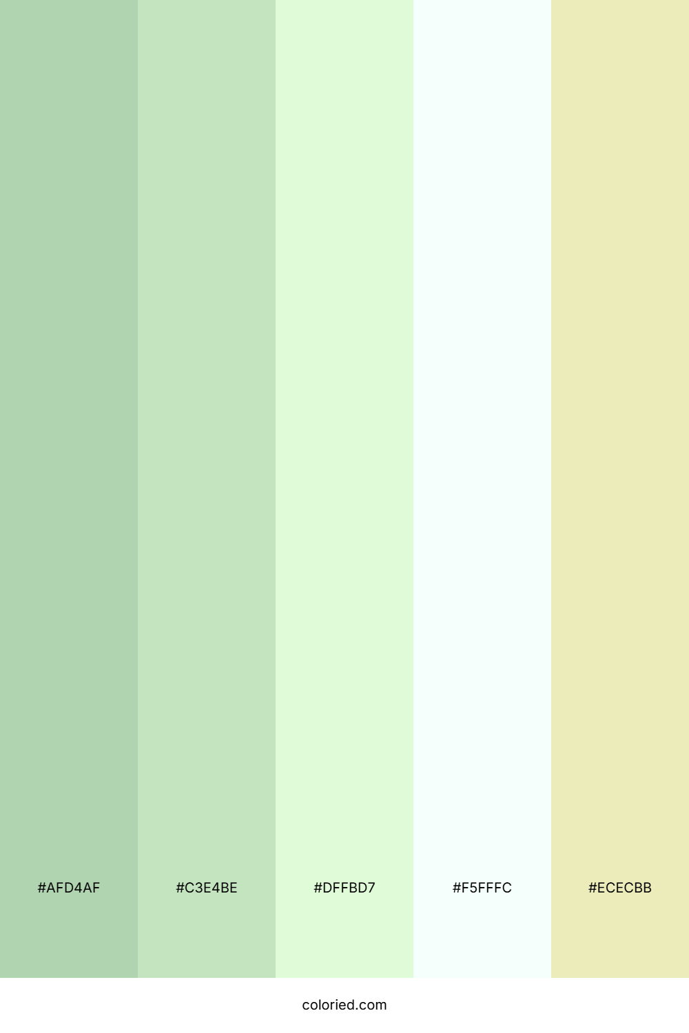 Minted Meadow Glow Color Palette