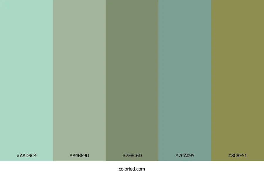 Minted Sage Forest Color Palette