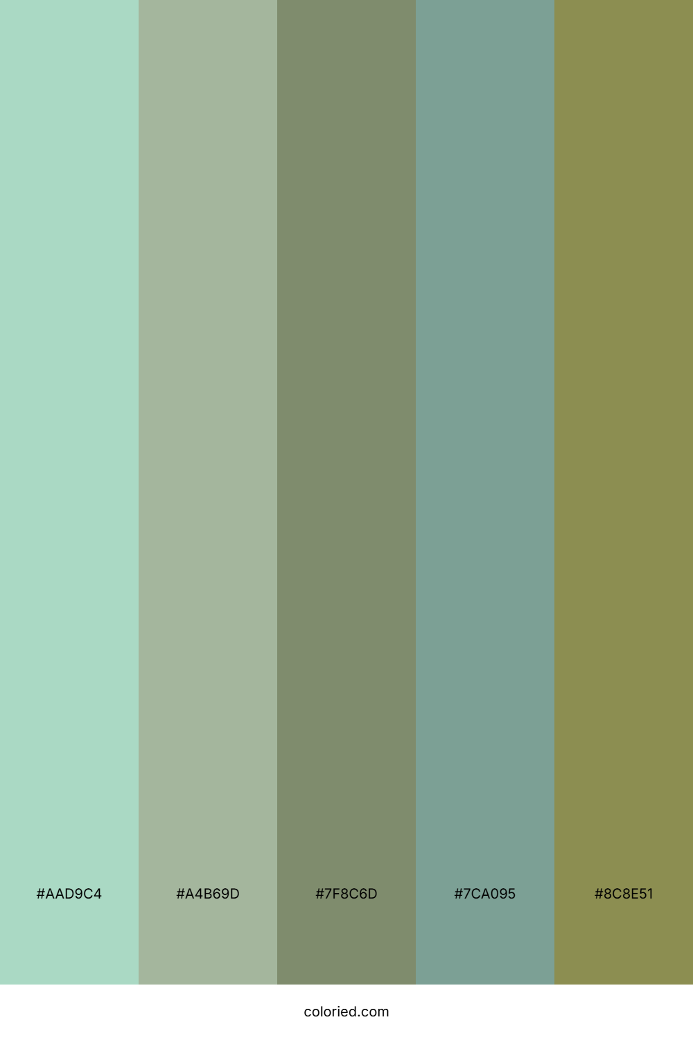 Minted Sage Forest Palette