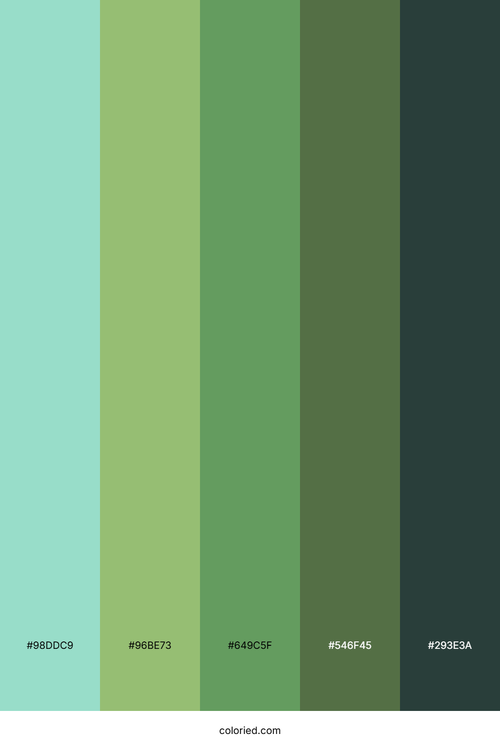 Minted Winter Forest Color Palette