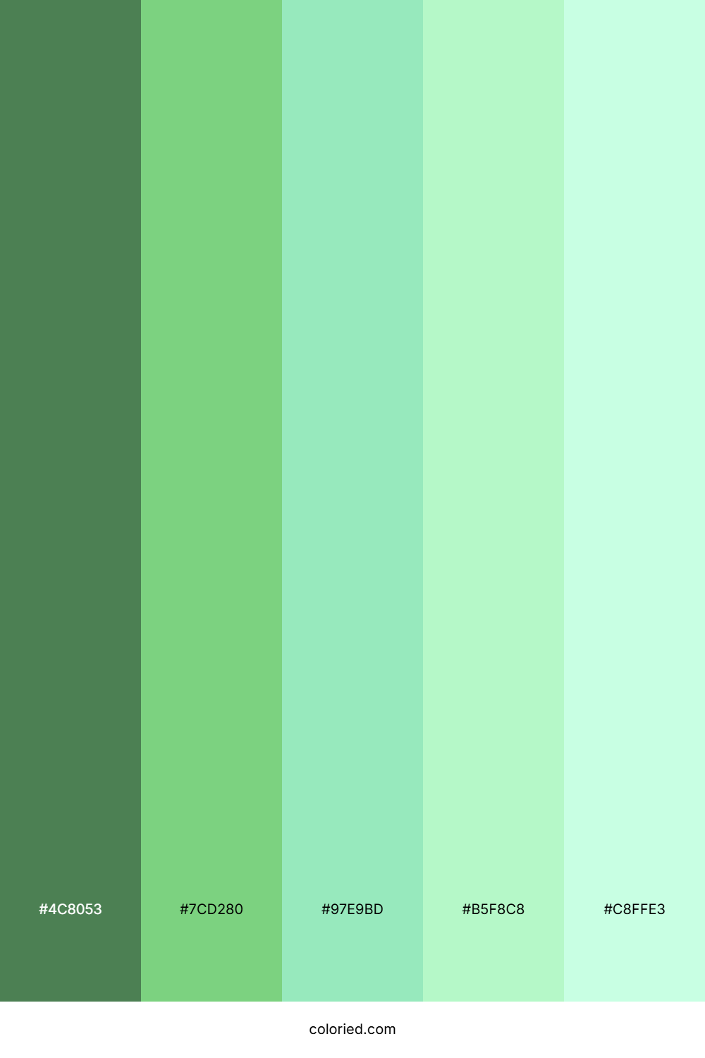 Minted Winter Grove Color Palette