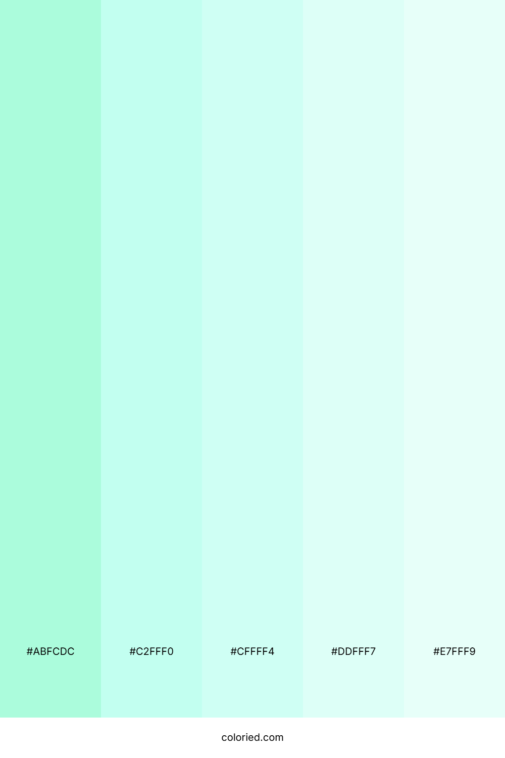 Minty Fresh Breeze Color Palette