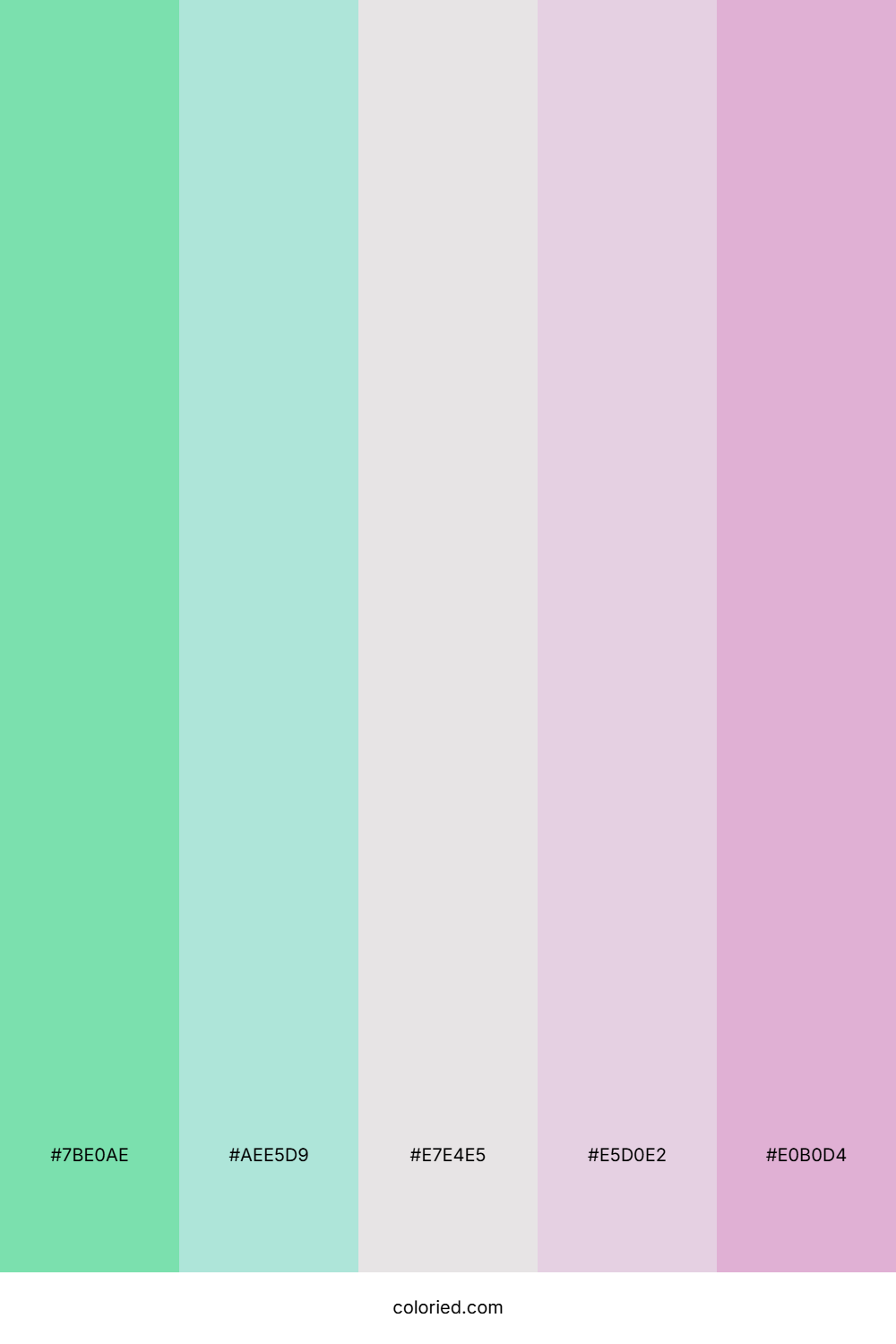 Minty Orchid Dream Palette