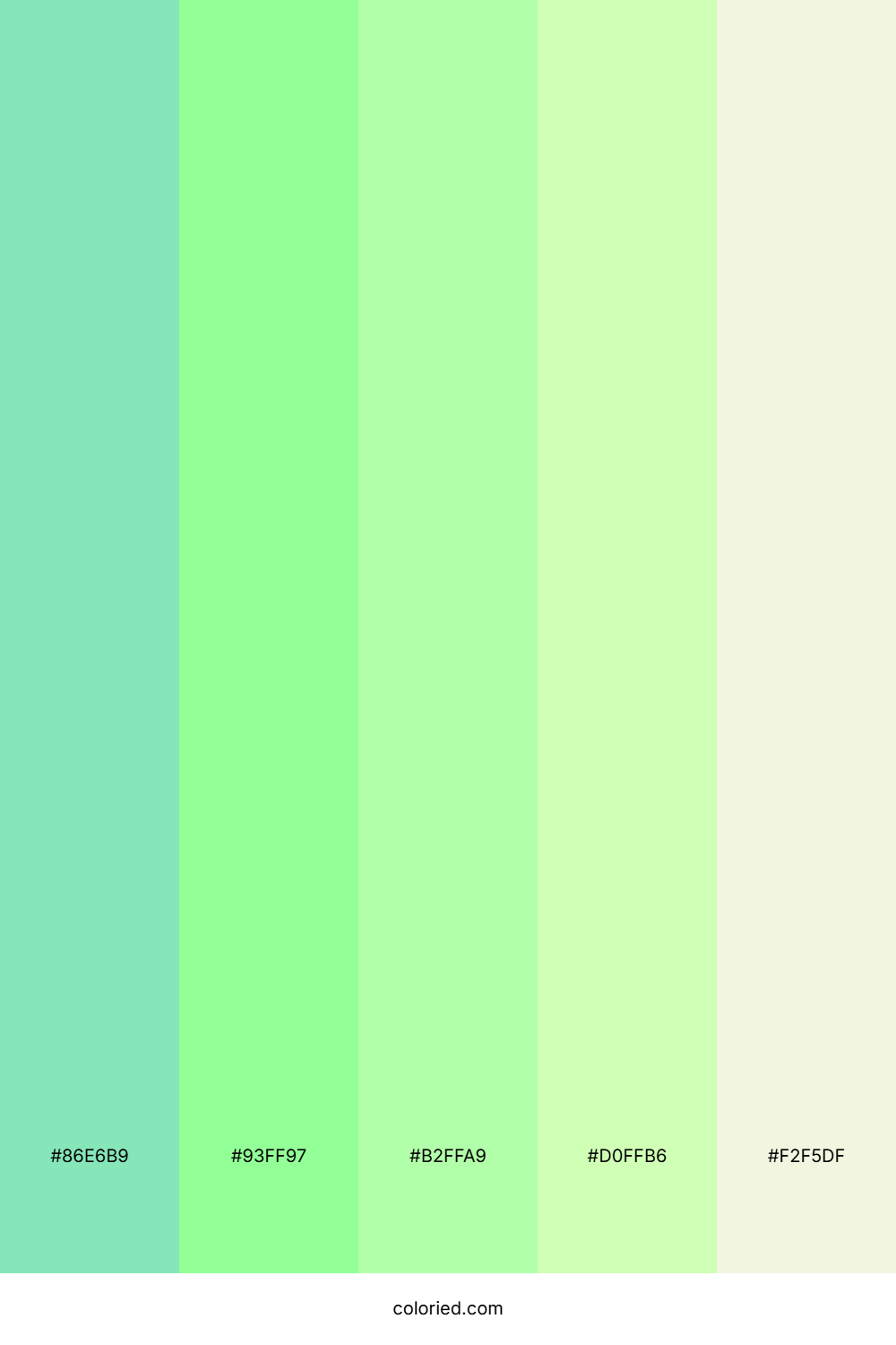 Minty Spring Breeze Color Palette
