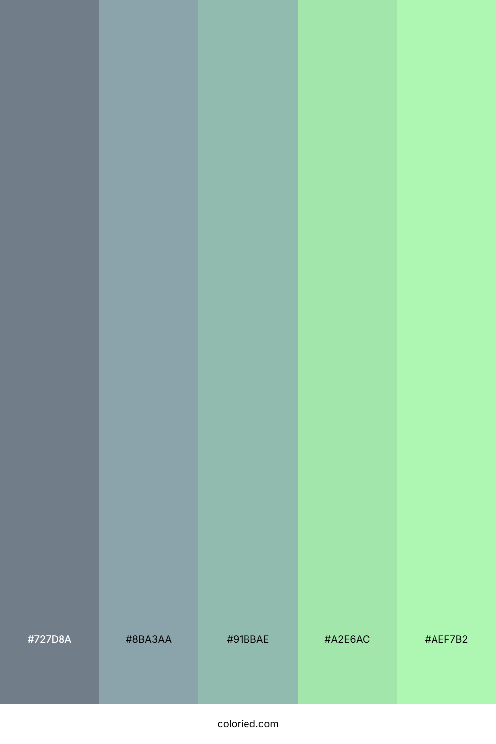 Misty Fern Glow Palette