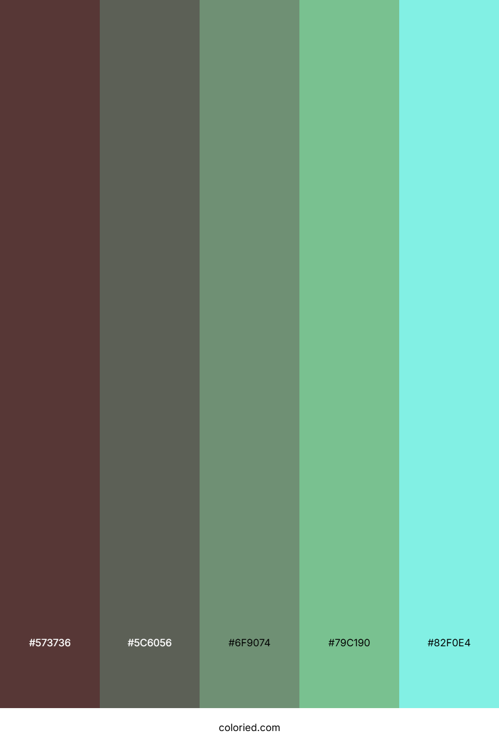 Misty Forest Canopy Color Palette